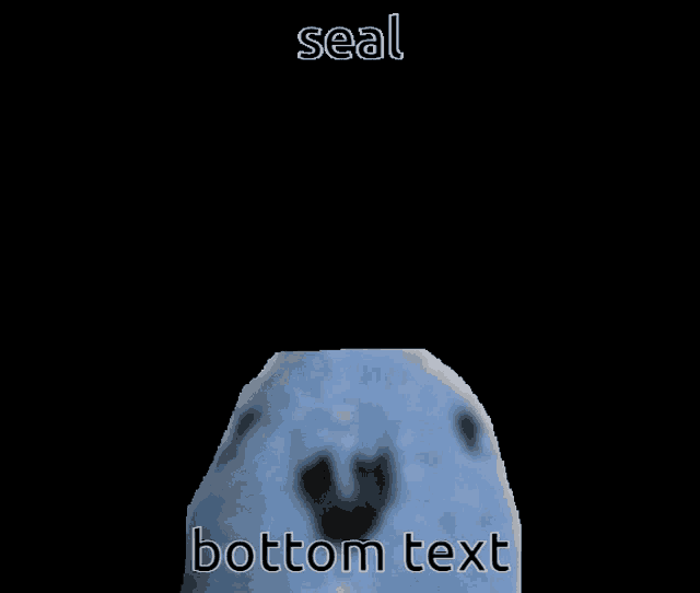 Seal GIF Seal Discover & Share GIFs