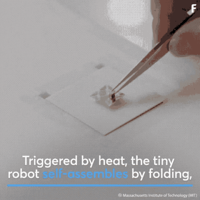 Robot GIF Robot Discover & Share GIFs