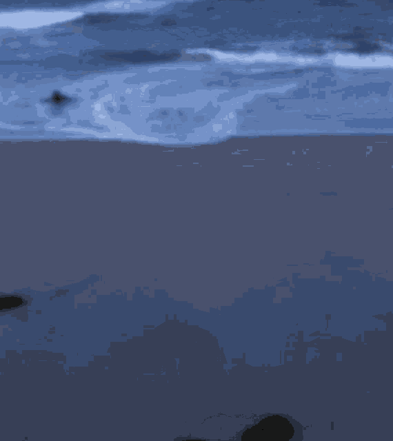 Seal Crawling GIF Seal Crawling Beach Discover & Share GIFs