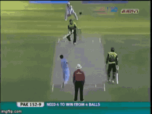 Cricket Animated Gifs Tenor