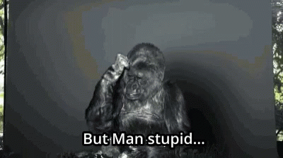 Man Stupid Koko Gif Man Stupid Koko Gorilla Discover Share Gifs