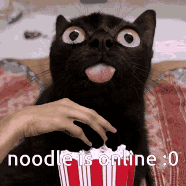 Popcorn Noodles GIFs Tenor