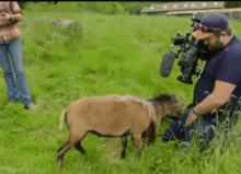 Camera Man Gifs Tenor