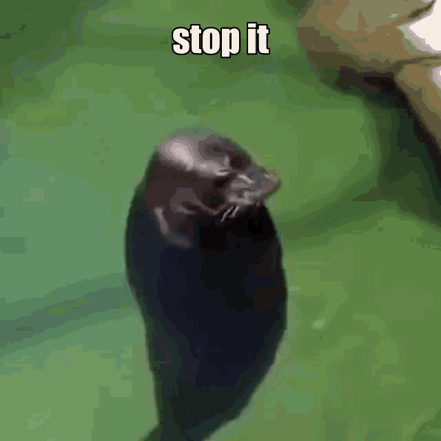 Stop It Go Away GIF Stop It Stop Go Away Discover & Share GIFs