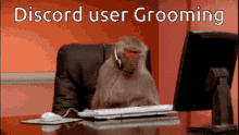 Monkeys Grooming Gifs Tenor