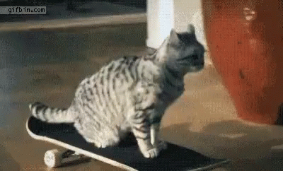 Monday Happy Gif Monday Happy Cool Cat Discover Share Gifs