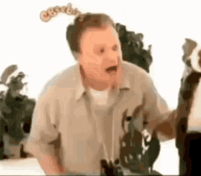 Fluffy GIF Fluffy Discover & Share GIFs