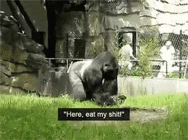 Angry Harambe Throwing Poop Gif Harambe Throwing Poop Angry Discover Share Gifs