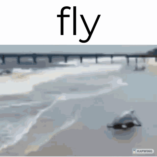 Flying GIF Flying Discover & Share GIFs