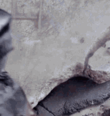 Morena Baccarin Deadpool GIF - Morena Baccarin Deadpool Vanessa