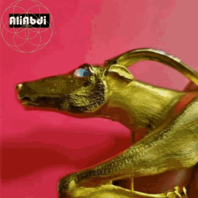 Deer GIF Deer Discover & Share GIFs