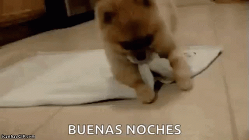 Dog Roll Gif Dog Roll Towel Discover Share Gifs