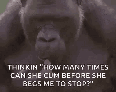 Scratch Gorilla Gif Scratch Gorilla Chimp Discover Share Gifs