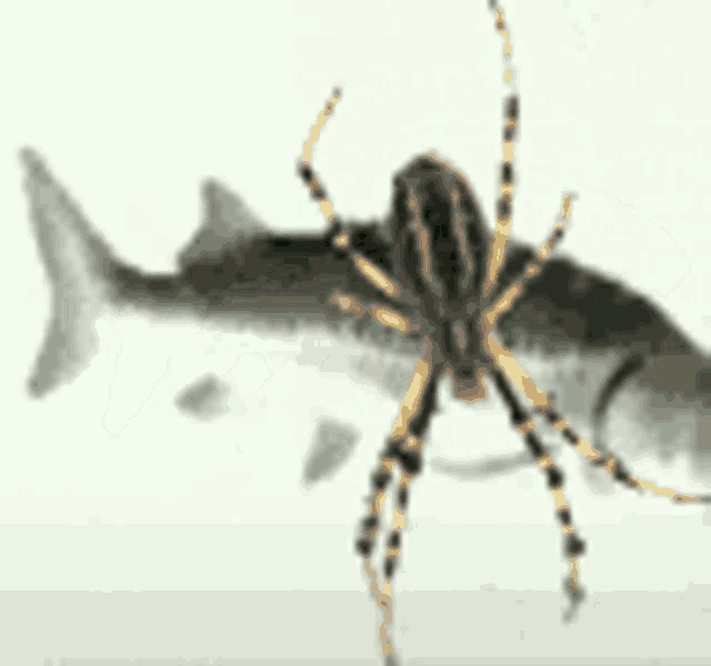 Spinning GIF Spinning Discover & Share GIFs