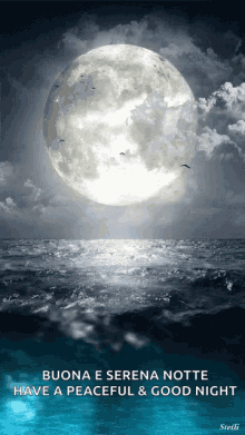 buonanotte autunnale 2023 Buona Gifs | Tenor