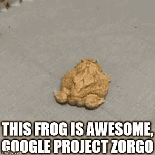 Frog Toad GIF Frog Toad Project Discover & Share GIFs