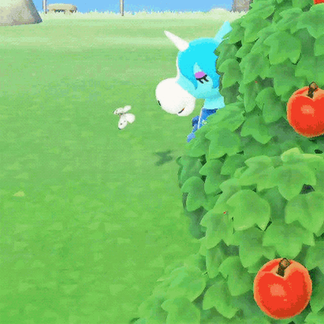 Dxa Ctph Acnh GIF DXA Ctph ACNH Animal Crossing Discover & Share GIFs