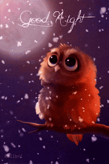Night Owl Gifs Tenor