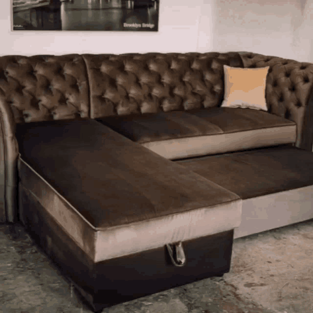 Thebristolsofadoctor GIF Thebristolsofadoctor Discover & Share GIFs