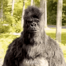 Gorilla Lawnmower Gifs Tenor