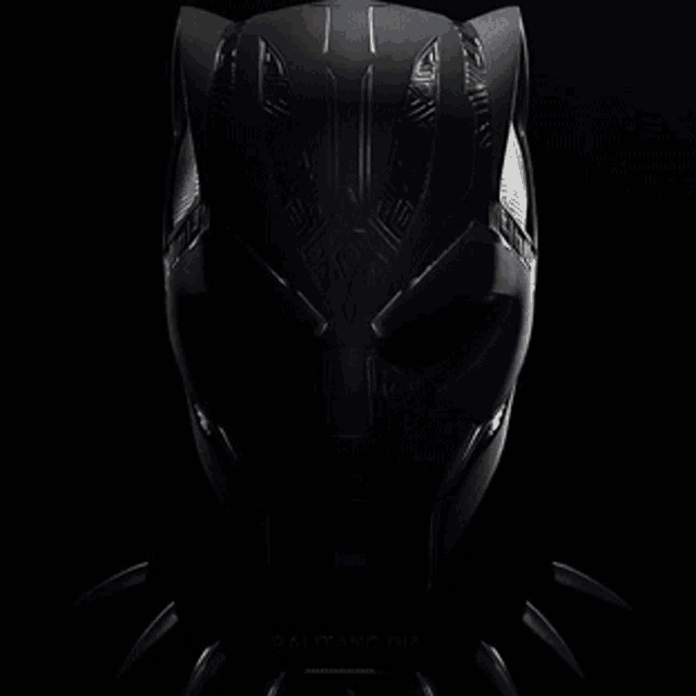 Chadwick GIF Chadwick Discover & Share GIFs