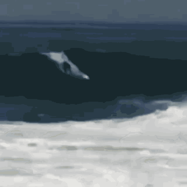 Surf Bail GIF Surf Bail Crash Discover & Share GIFs