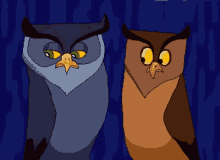 Creepy Owls Gif Gifs Tenor