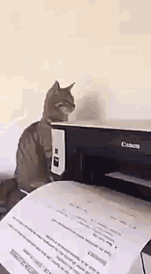 Printer GIFs | Tenor