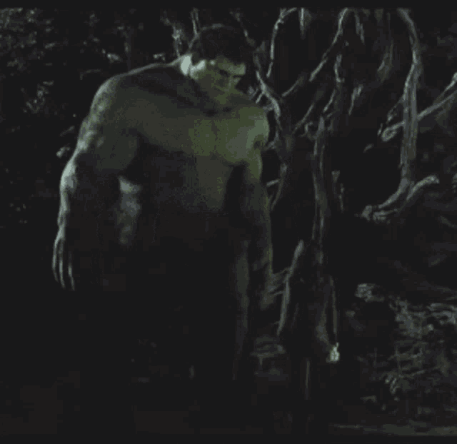 Uncensored Hulk GIFs Tenor