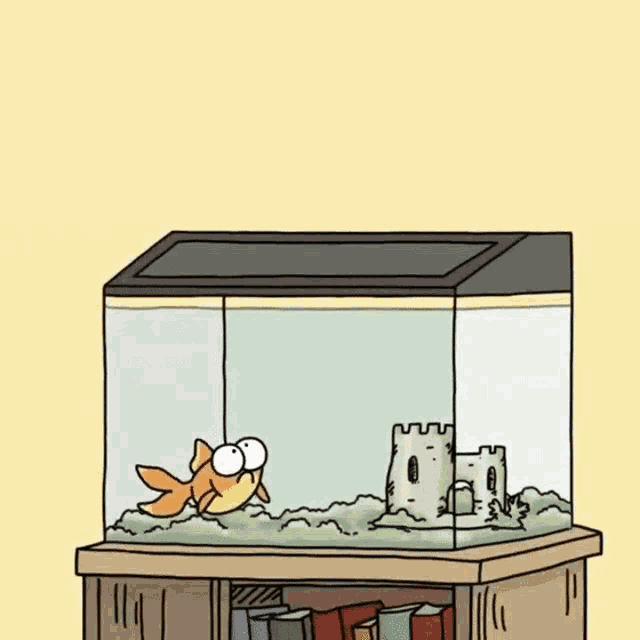 Cat Fish GIF Cat Fish Invisible Discover & Share GIFs