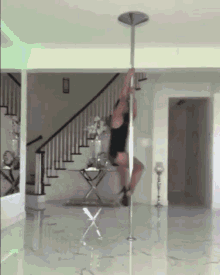 Pole Dancing GIFs | Tenor