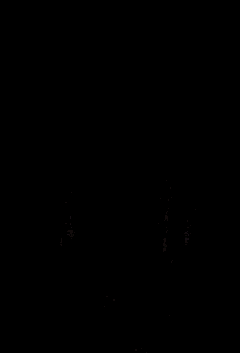 Wet Owl Wet GIF Wet Owl Wet Owl Discover & Share GIFs
