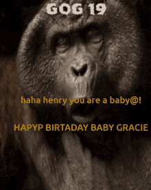 Happy Birthday Monkey Gifs Tenor