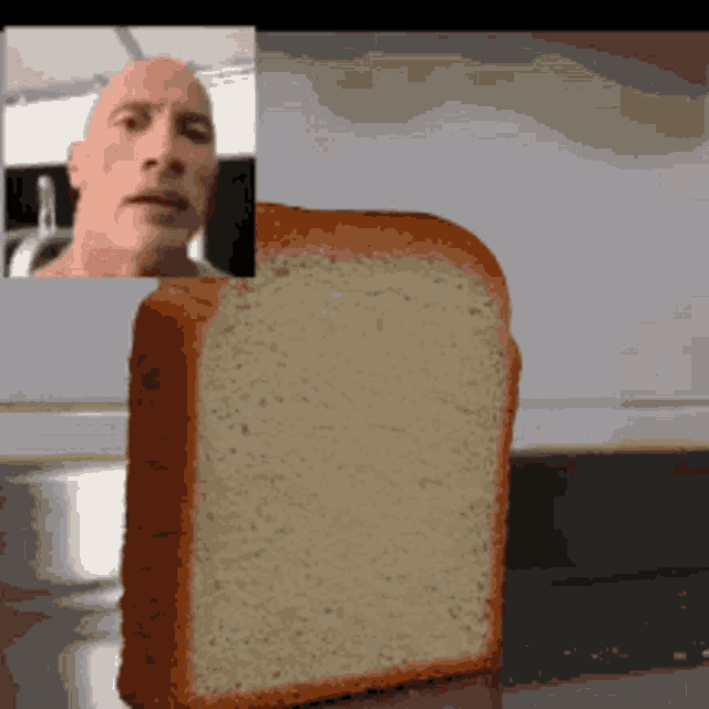 Bread Loaf GIF Bread Loaf Discover & Share GIFs