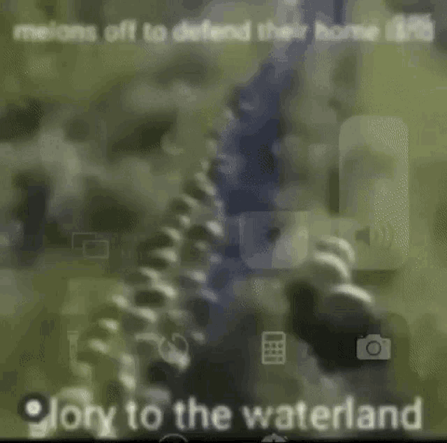 Freshmelonballs GIF Freshmelonballs Discover & Share GIFs