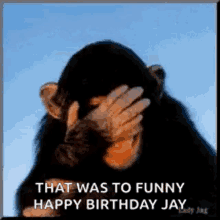 Monkey Birthday Gifs Tenor