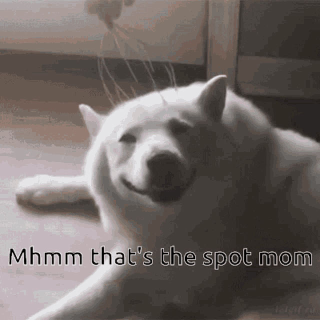 Massage GIF Massage Discover & Share GIFs