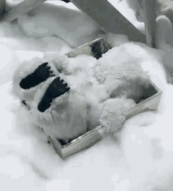Teddy Bear GIF Teddy Bear Wasted Discover & Share GIFs