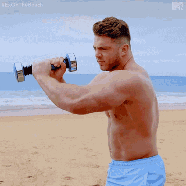 Weight Shaker GIFs Tenor