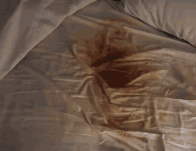 Orlin Home PFP - Orlin Home Profile Pics