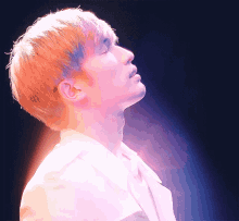 Jesse Jane Gif GIFs | Tenor