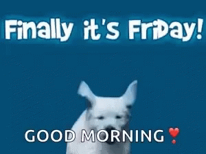 friday morning images funny Happy Friday Gifs | Tenor