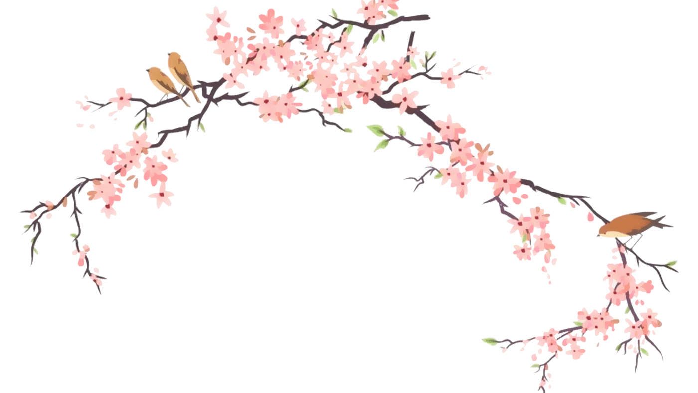 سكرابز ورد ابيض زاويه Png