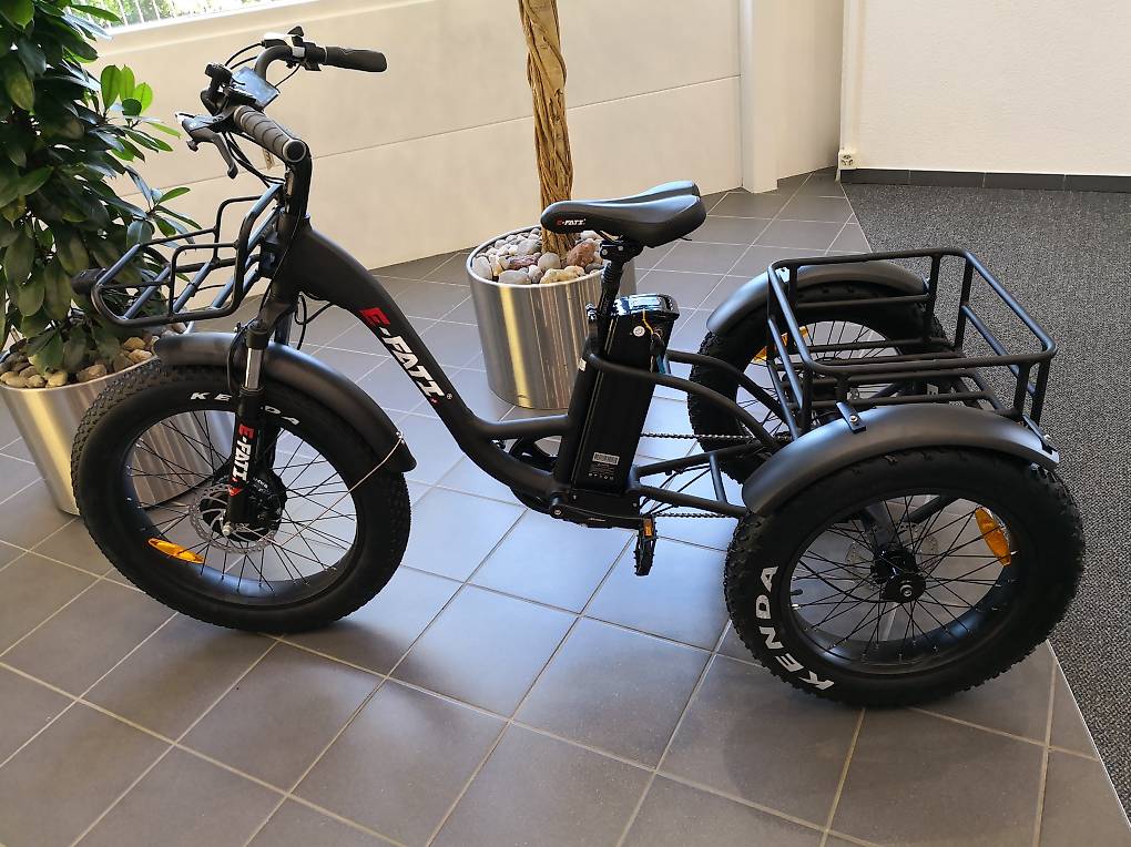 Elektro Dreirad EFATI im Kanton Bern - tutti.ch