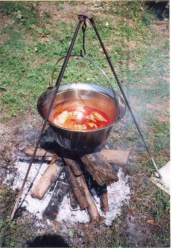 Paprika Turkey in "Bogracs" Global Gallery TakingITGlobal