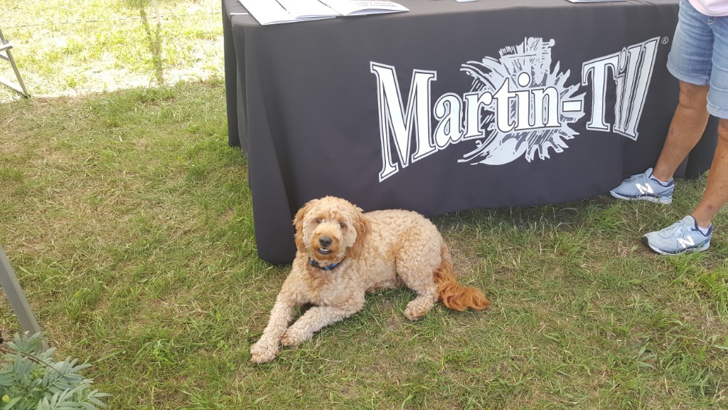 Orestry Events 2023 Usa