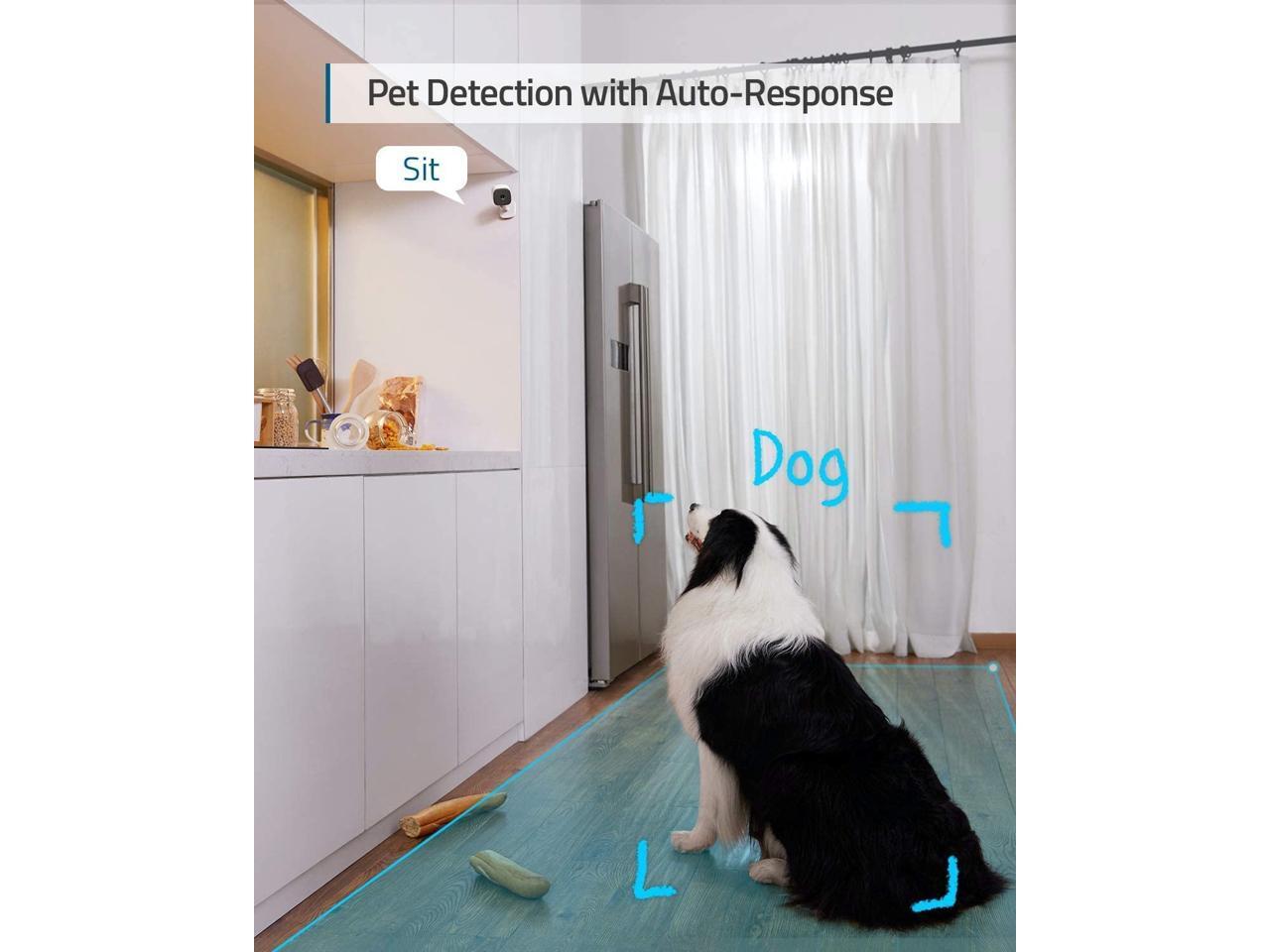 eufy Security Solo IndoorCam C24 2Cam Kit, 2K Security Indoor Camera