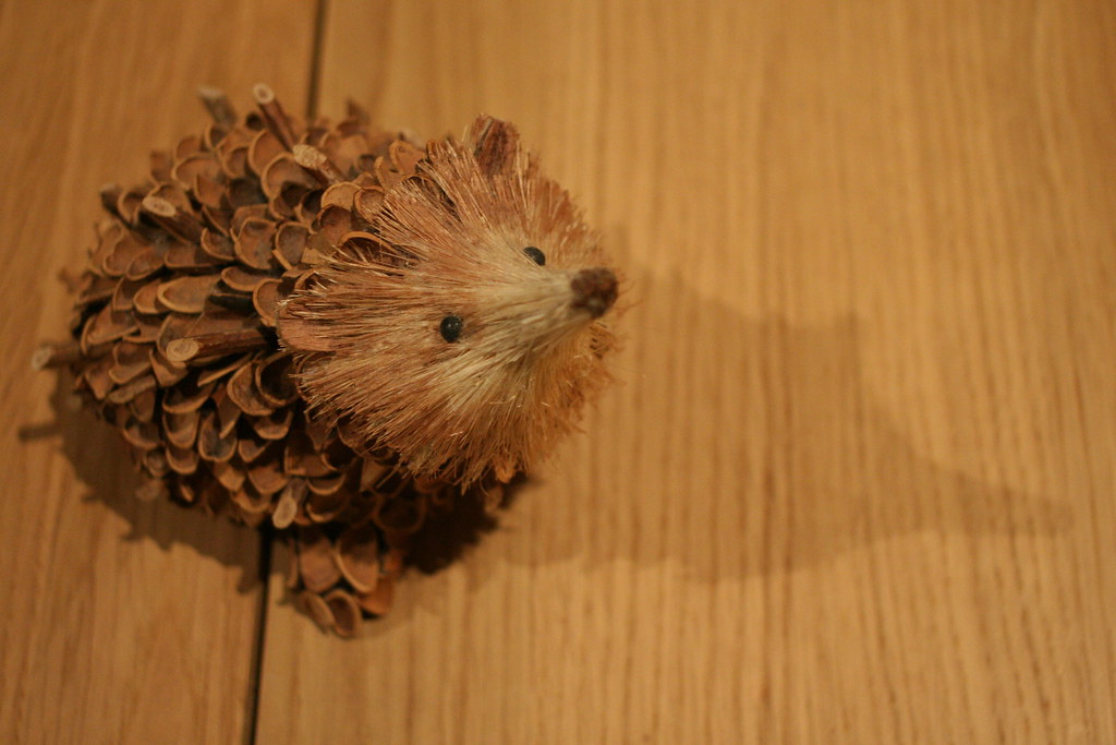 Pine cone hedgehog Staying with the hedgehog theme, this