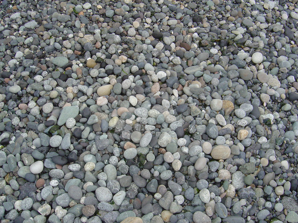 Agate Beach, Lopez Island, WA Claire's Photo Gallery Flickr