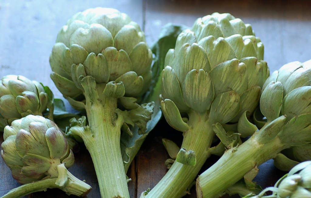 How to Grow Artichokes 101 Everything You Need to Know